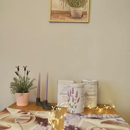 Lavender City Center Appartement Cracovie